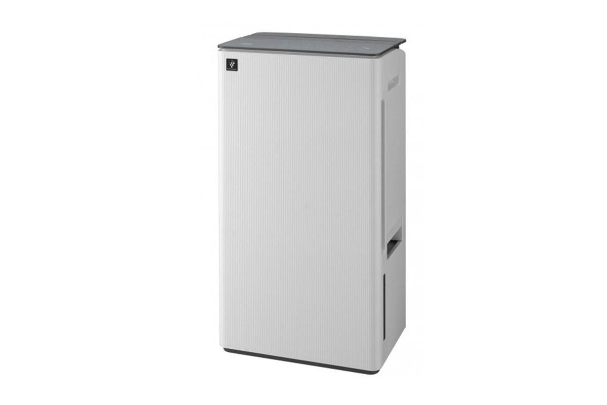 DW-T30HA-W 30L 2-in-1 Antibacterial Dehumidifier